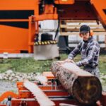 Tree and Stump Removal: Complete Yard Clearing Services