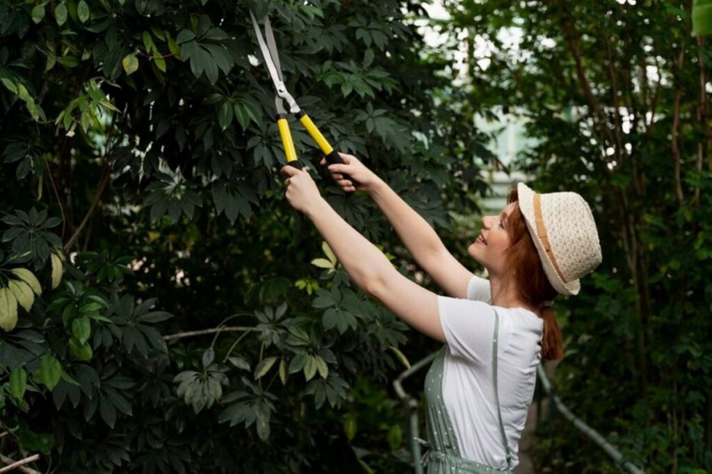 Tree Pruning Near Me